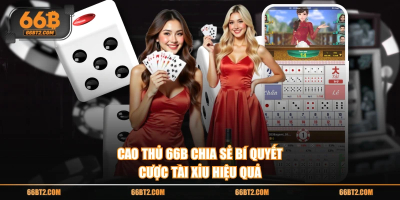 Cao thủ 66B chia sẻ bí quyết cược tài xỉu hiệu quả