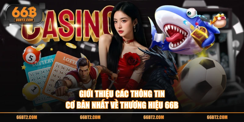 Giới thiệu các thông tin cơ bản nhất về thương hiệu 66B